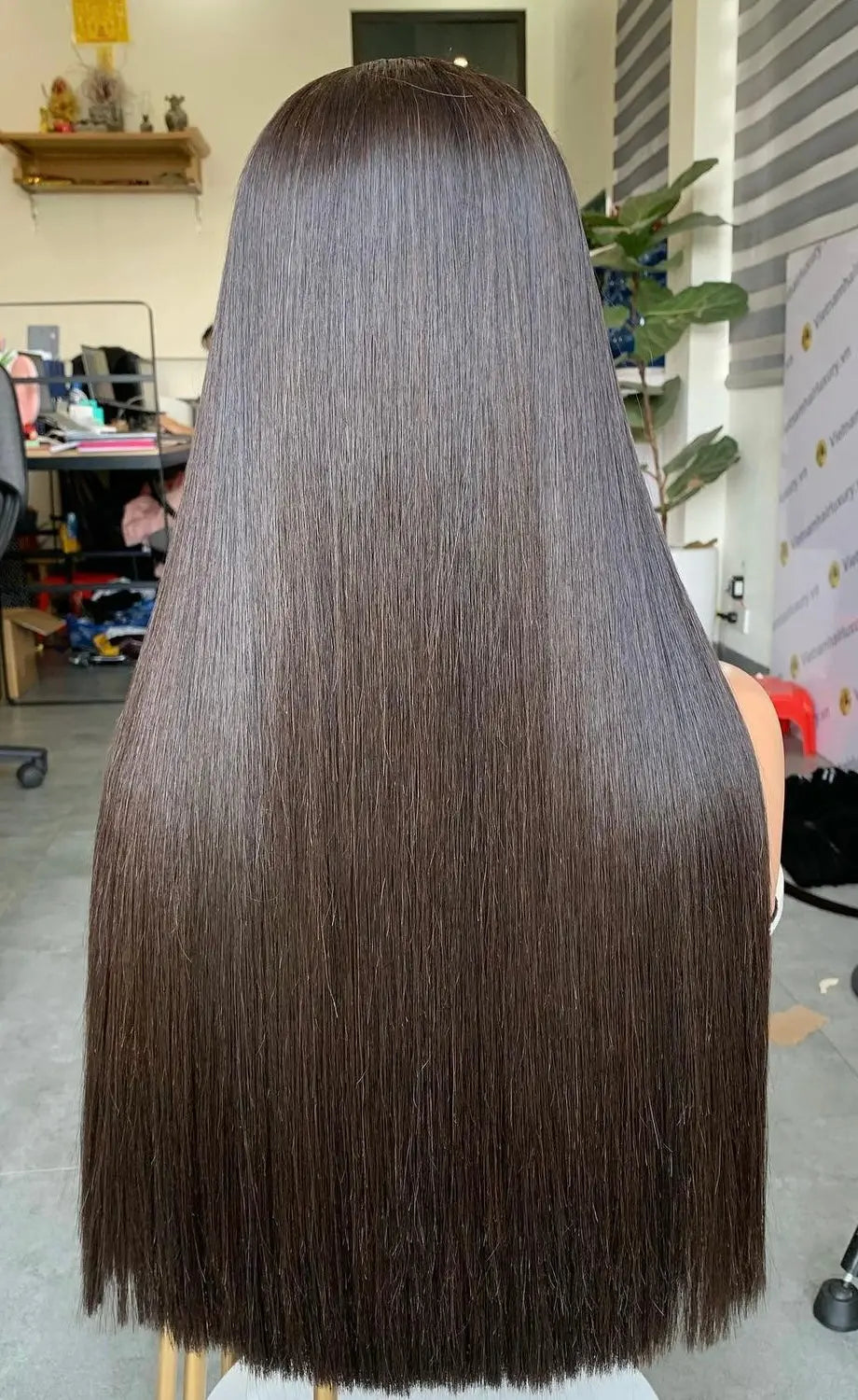 HLK Premium Bone Straight  Vietnamese  Hair hairlikekweenca